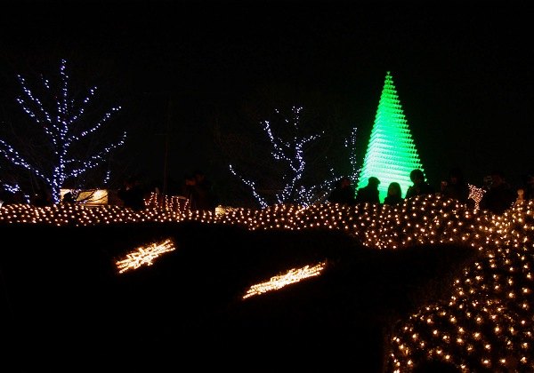 昭和記念公園 ビスタ イルミネーション